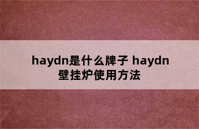 haydn是什么牌子 haydn壁挂炉使用方法